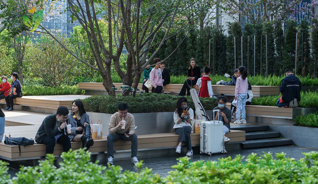 深圳万象天地商业街花园绿化工程实景图