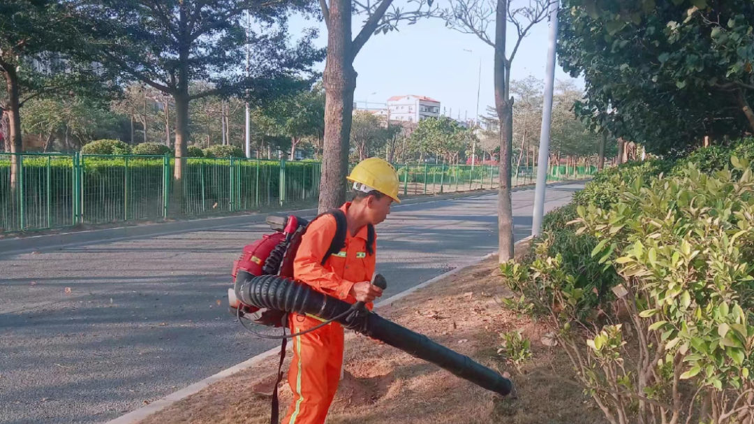 园林绿化养护病虫害防治