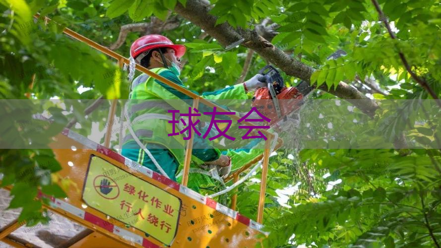 兴文绿化工程招聘