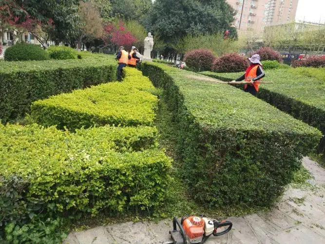 仙桃城市园林绿化管理